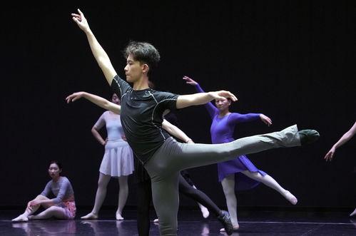 芭蕾爆料真人视频大全集,揭秘真人视频大全集 第3张 芭蕾爆料真人视频大全集,揭秘真人视频大全集 第3张